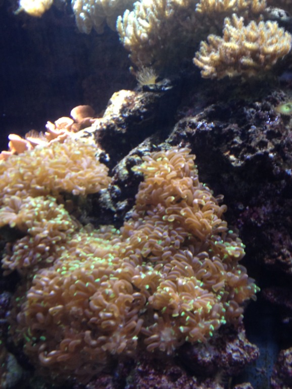 как мы провели прошлый год
