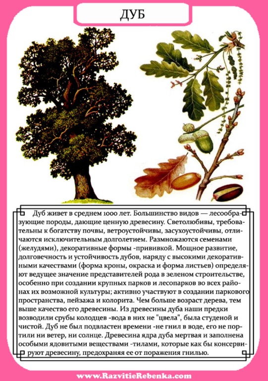 34ce8dc0e24464c63154b2faefded52a.jpg