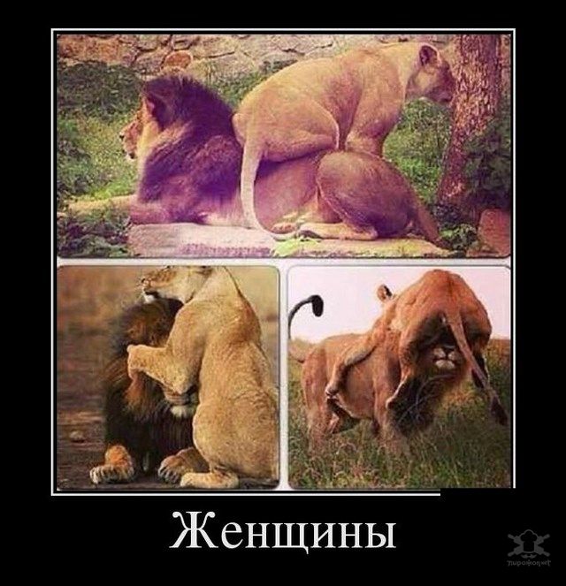 a6ac0e353730c36b2224ccb2e2d6bcfe.jpg
