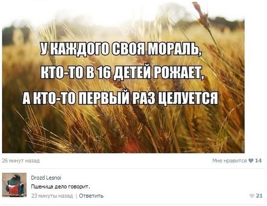 c4e24c803f52b46bb40df1eb7627d12b.jpg