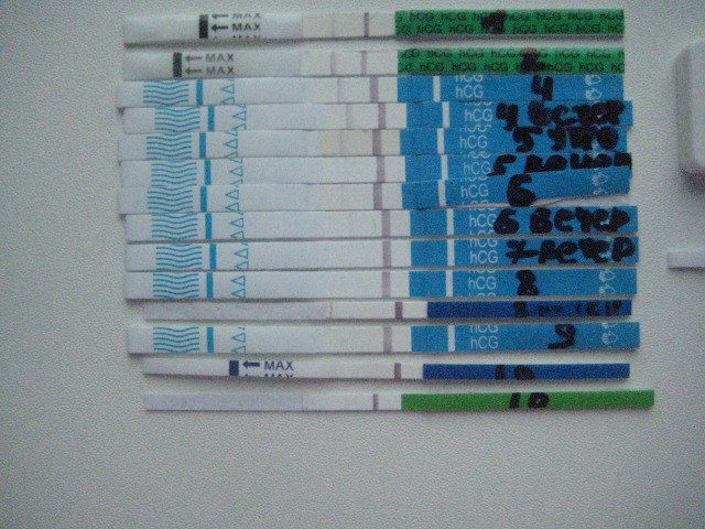 ef38526eda2e361e993d92eea4d9f144.jpg