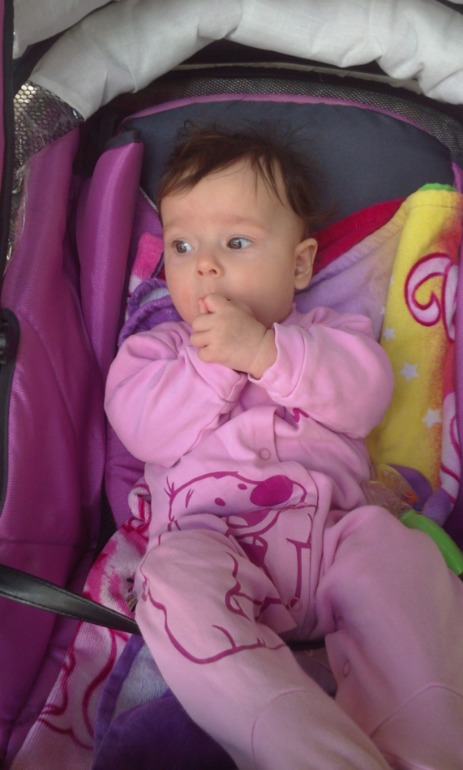 aad6c1274648610c44110e66bd7453ca.jpg