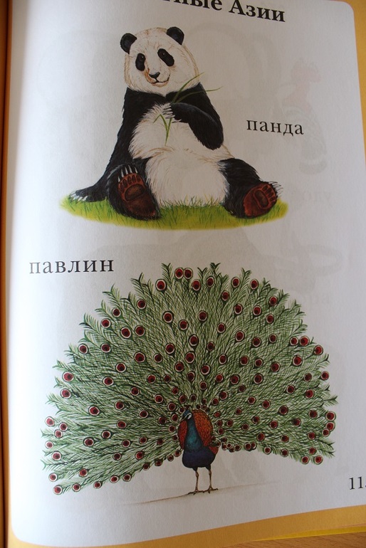 d9f0f0c6d65aeffb02c5bd02f1d6f465.jpg