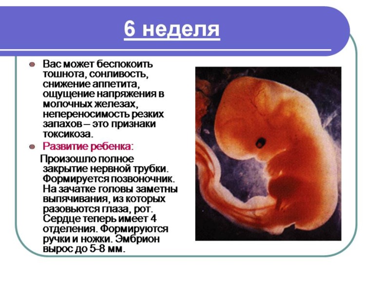 Немного о Б....Моя презентация о прекрасном мгновении в жизни женщины)