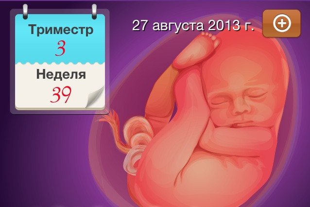 0d87026df71360cc021bd71ea8ed75be.jpg