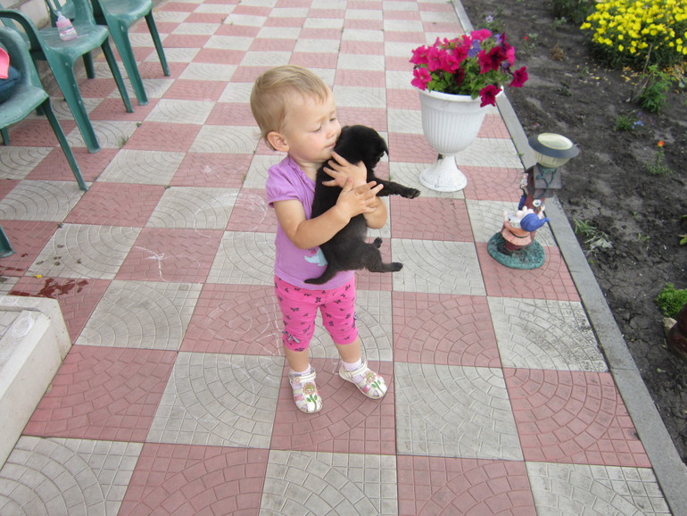 cf4710041a7dd2afab8bd899e5d82ee1.jpg