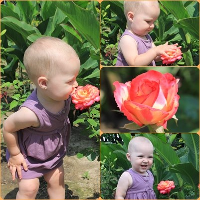 0764b20ff640a4d26744ce1b4cfa66d6.jpg