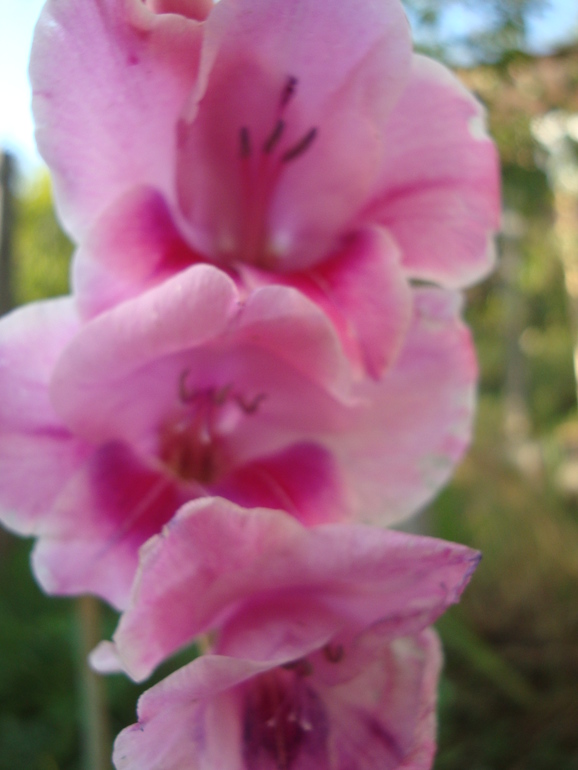 2c7de4ebfb1b4fd4ced513d6613ee61c.jpg
