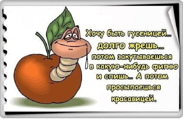 9c294be0c4067d7bd62775028acaebb2.jpg