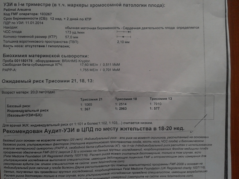 bec250a75356653a567a568f809bfe41.jpg