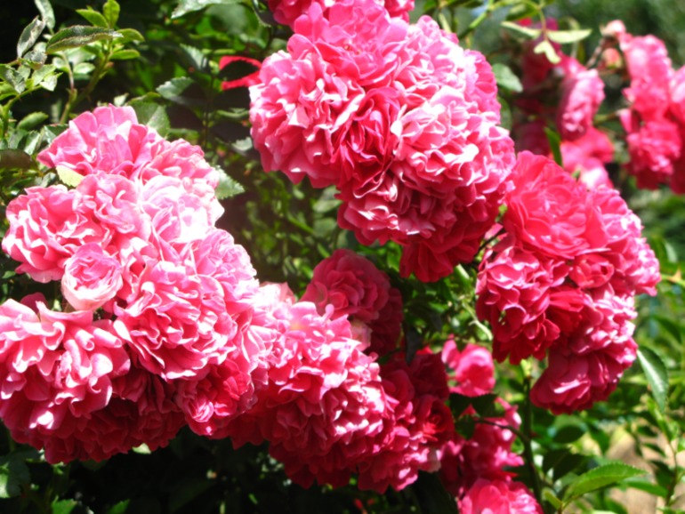 ab8b68a944e0a01670ff92de540757cb.jpg