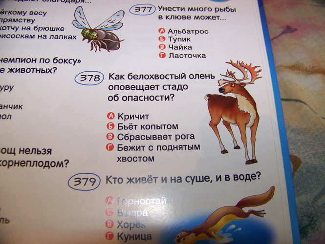 69237e2df02c5695186601b1ce32c46d.jpg