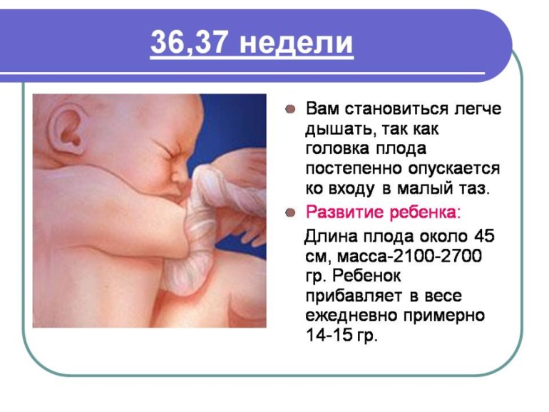 Немного о Б....Моя презентация о прекрасном мгновении в жизни женщины)
