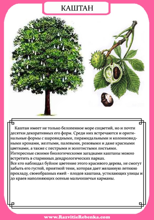 9fa7ff5faf829d6750b921c7e63179f6.jpg
