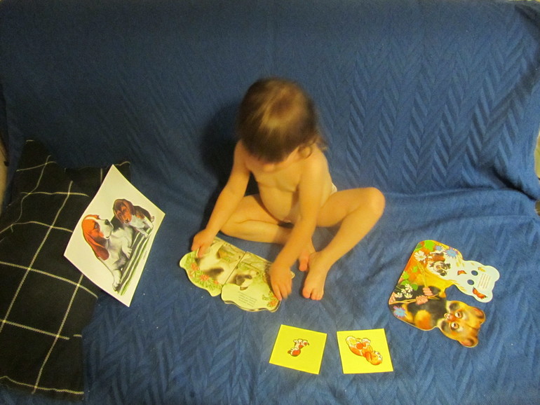 d0451286a3e35f6f98dad92f81e9412b.jpg