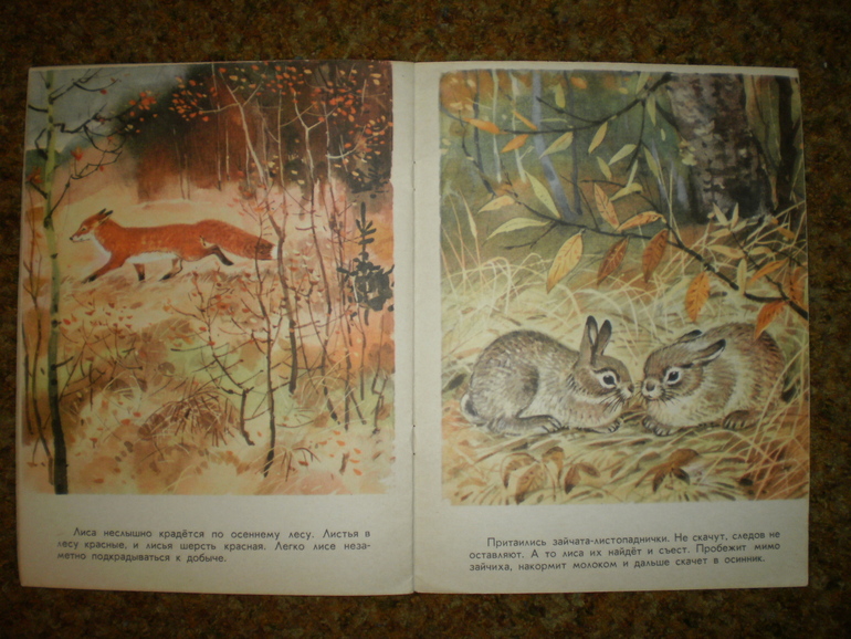 Главная осенняя книга