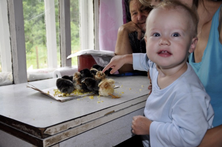 6181a377604ac9d3f0acfacafe17a4ac.jpg