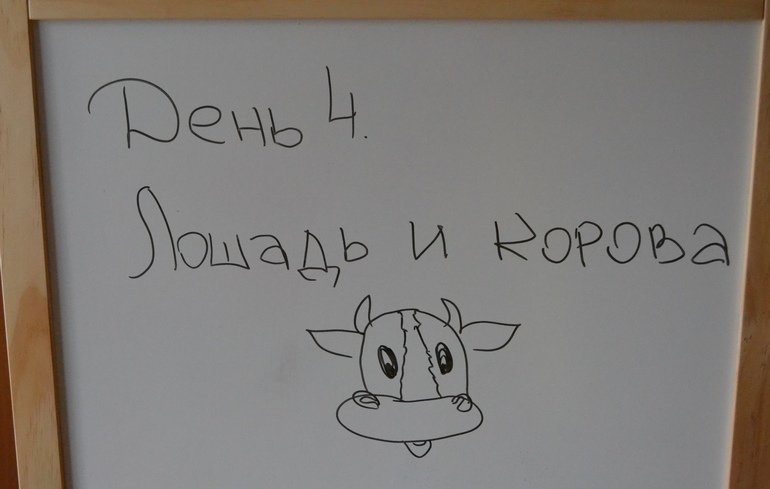 7b8c0e0c2e71fa56cb3ab93c595b998a.jpg