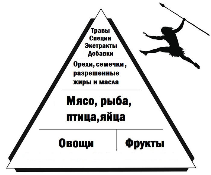 9240176a3511d2fac9f81447ffb89f59.jpg