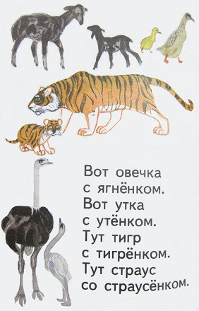 8674454442f56fd4ef5a89b9af03d2a3.jpg