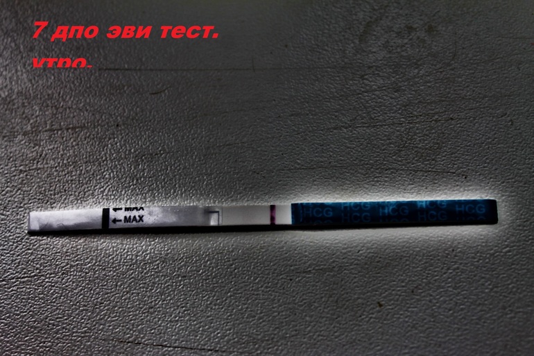 a02211d00a5cd02ee081c9bf099345d4.jpg