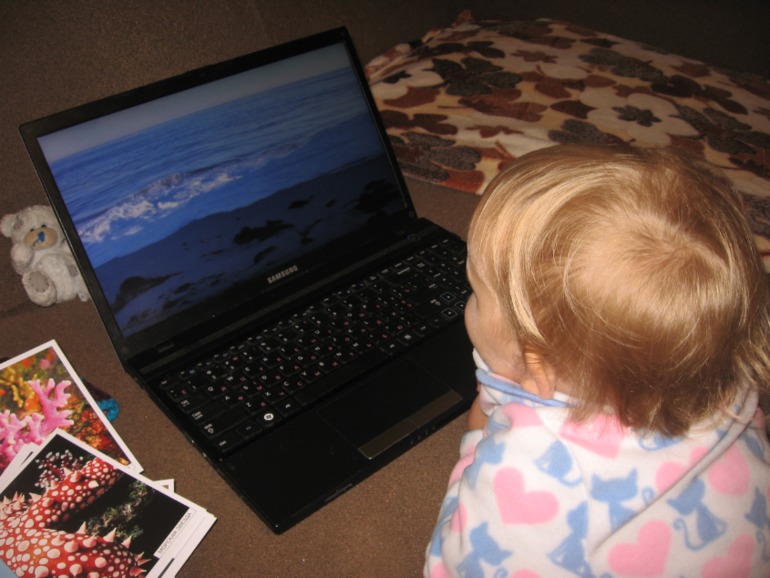 1462d21f3a0867378e6abfbf4d4db99f.jpg