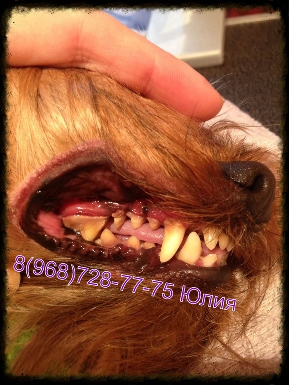 81be9e149baef0904a5ec2b0b66916c9.jpg