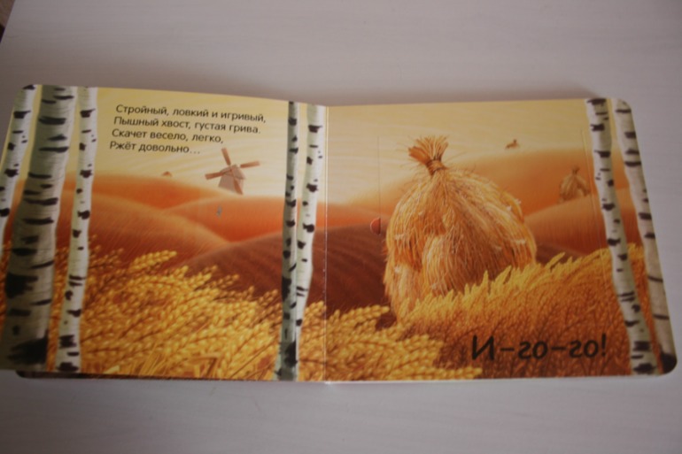 Книжки с кармашками