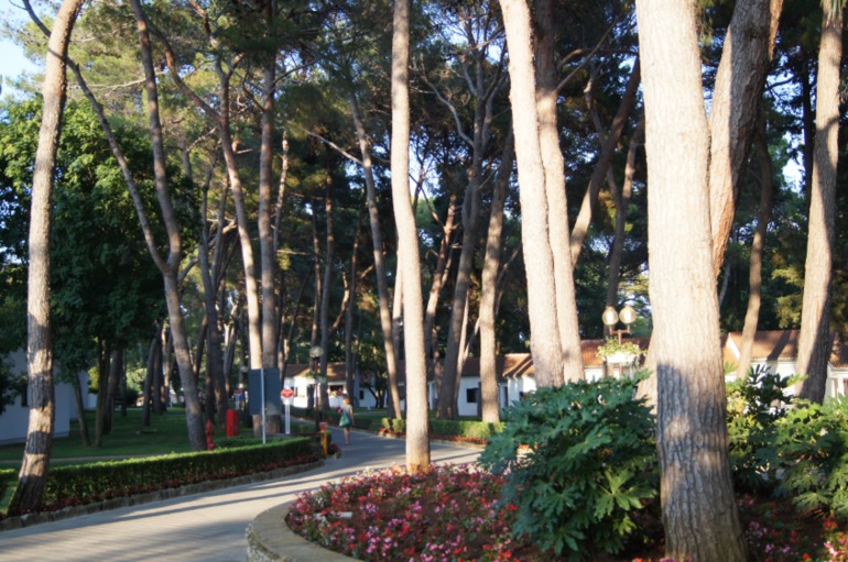 ec17f6c9b411aa1742ac110fe8e8bf93.jpg