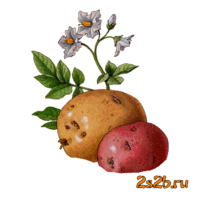78fbd1b5188d3043d893aabfe905dee0.png