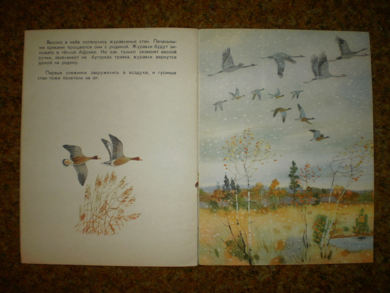 Главная осенняя книга