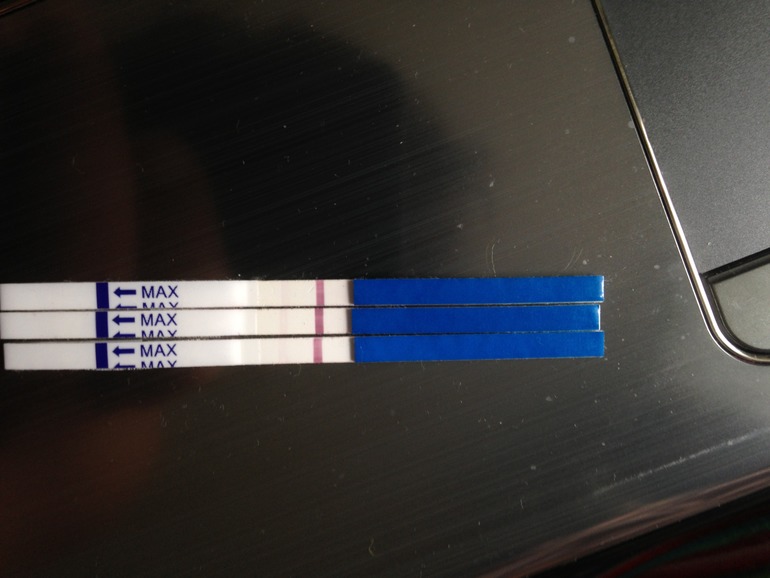 3d56dbb96ea9a550d887d17386410931.jpg