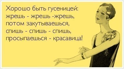 07c386b961aada53b674c894f58cedb7.jpg