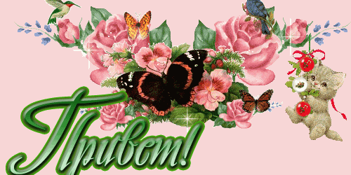 3c763b4223ff9e59b10430eda347f3f8.gif