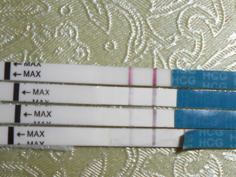 82178a76fe5bb448be290d81cc351e87.jpg