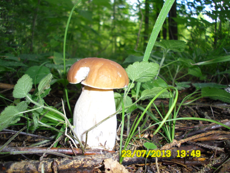 66d737a10831a92cd4a61cbfbd99ce62.jpg