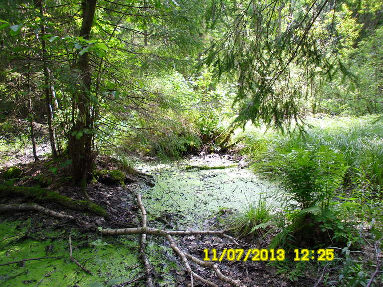 b259424c528e22ec51682143fad0eaab.jpg