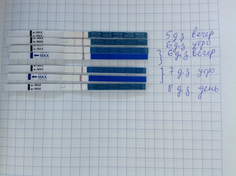 Моя маленькая коллекция