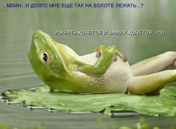 95da04f044cabbd38992a98f71da3dd3.jpg