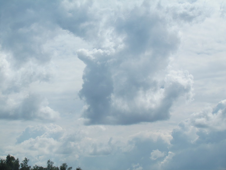 10b57fd9ee1aeea9bc8d0e584f19856b.jpg