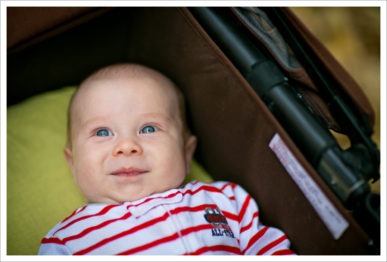 Весна-лето-осень..