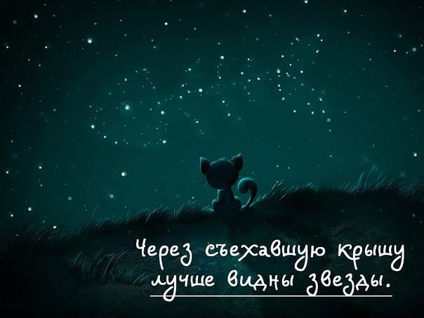 ff9865998ffe70006ce1c76cea096709.jpg