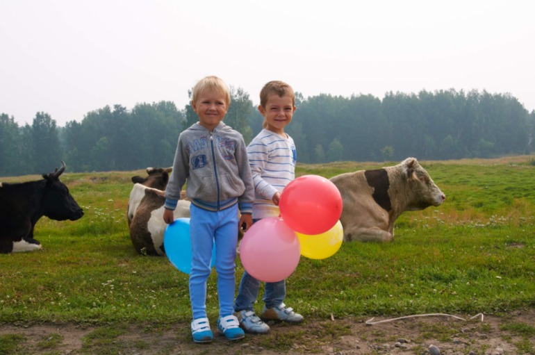 Отдых в деревне.