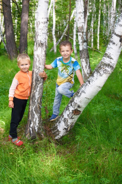 Отдых в деревне.