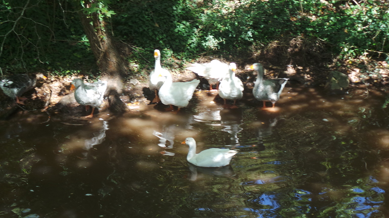 Святые места Пелопоннеса