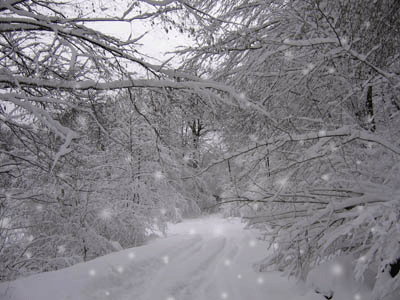 2ba8b7e6ef7160dcda1dcf7632900392.gif