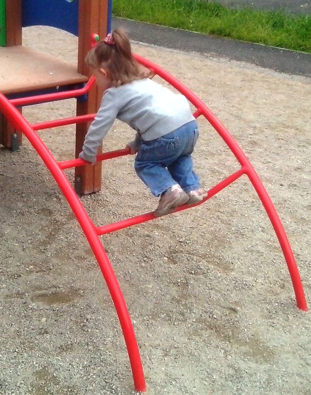 немного нас и опросик)