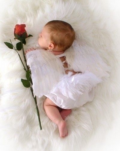 cf7eaf2b8baeda3b00a4f89982acfe19.jpg