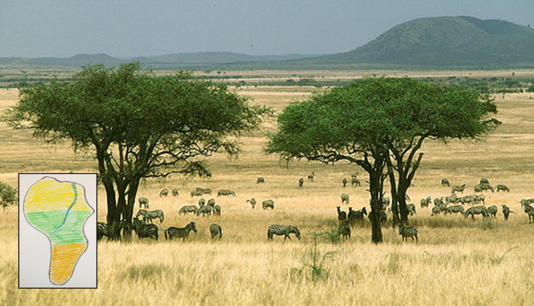 Жаркое путешествие