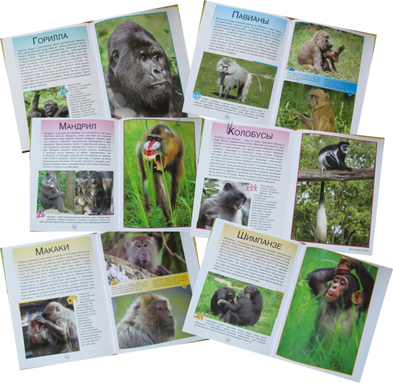 Жаркое путешествие